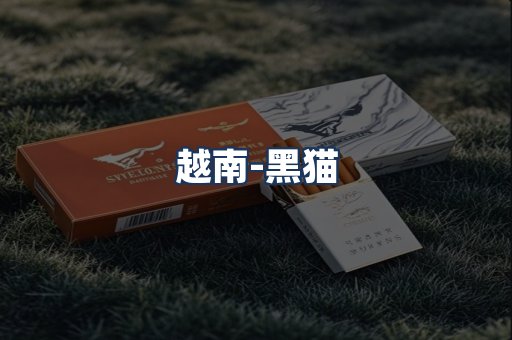越南黑猫